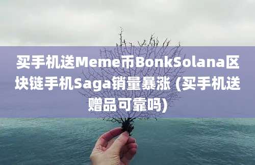 买手机送Meme币BonkSolana区块链手机Saga销量暴涨 (买手机送赠品可靠吗)