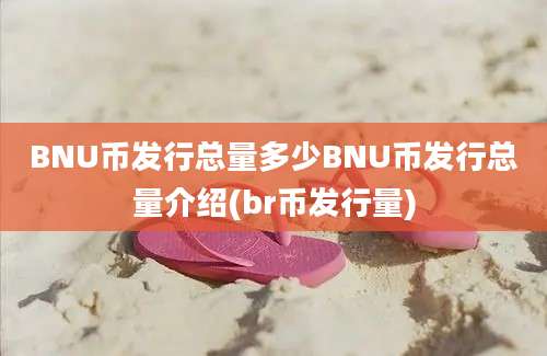 BNU币发行总量多少BNU币发行总量介绍(br币发行量)