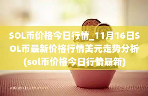 SOL币价格今日行情_11月16日SOL币最新价格行情美元走势分析(sol币价格今日行情最新)