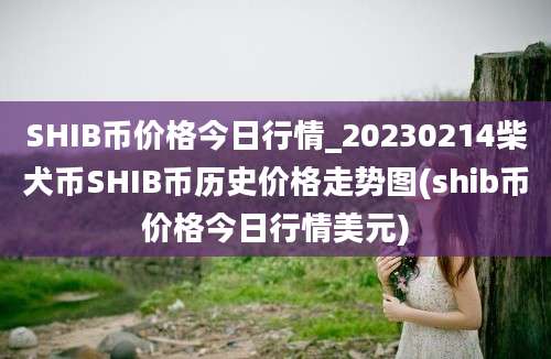 SHIB币价格今日行情_20230214柴犬币SHIB币历史价格走势图(shib币价格今日行情美元)