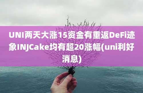 UNI两天大涨15资金有重返DeFi迹象INJCake均有超20涨幅(uni利好消息)