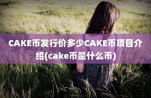 CAKE币发行价多少CAKE币项目介绍(cake币是什么币)