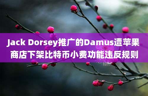 Jack Dorsey推广的Damus遭苹果商店下架比特币小费功能违反规则