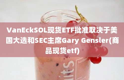 VanEckSOL现货ETF批准取决于美国大选和SEC主席Gary Gensler(商品现货etf)