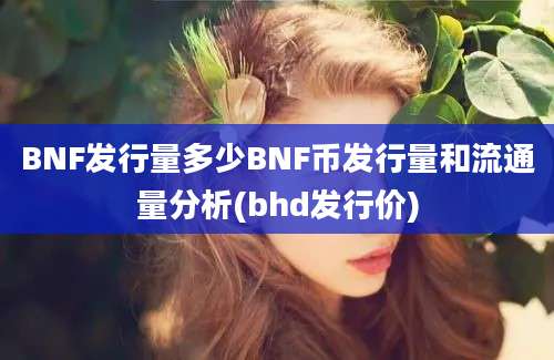 BNF发行量多少BNF币发行量和流通量分析(bhd发行价)