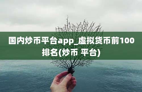 国内炒币平台app_虚拟货币前100排名(炒币 平台)