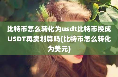 比特币怎么转化为usdt比特币换成USDT再卖划算吗(比特币怎么转化为美元)