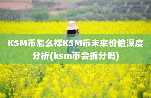 KSM币怎么样KSM币未来价值深度分析(ksm币会拆分吗)