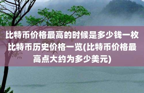 比特币价格最高的时候是多少钱一枚比特币历史价格一览(比特币价格最高点大约为多少美元)