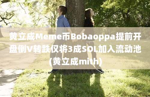 黄立成Meme币Bobaoppa提前开盘倒V转跌仅将3成SOL加入流动池(黄立成mith)