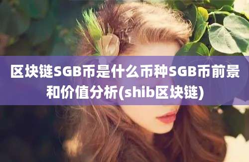 区块链SGB币是什么币种SGB币前景和价值分析(shib区块链)