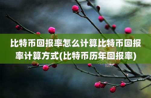 比特币回报率怎么计算比特币回报率计算方式(比特币历年回报率)