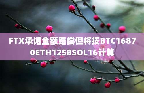 FTX承诺全额赔偿但将按BTC16870ETH1258SOL16计算