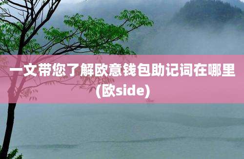 一文带您了解欧意钱包助记词在哪里(欧side)