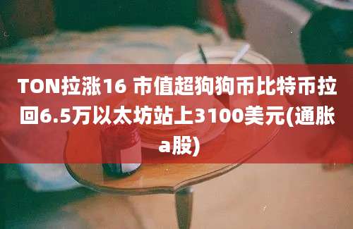 TON拉涨16 市值超狗狗币比特币拉回6.5万以太坊站上3100美元(通胀 a股)