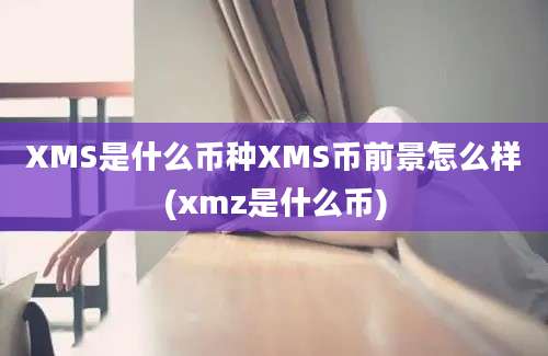 XMS是什么币种XMS币前景怎么样(xmz是什么币)