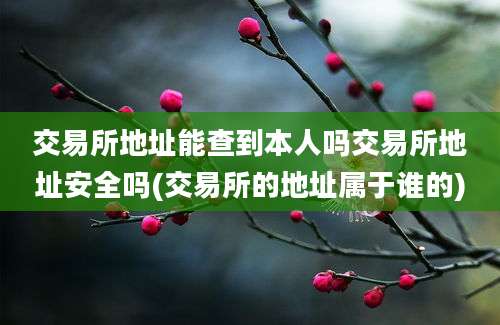 交易所地址能查到本人吗交易所地址安全吗(交易所的地址属于谁的)