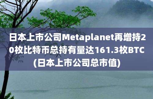 日本上市公司Metaplanet再增持20枚比特币总持有量达161.3枚BTC(日本上市公司总市值)