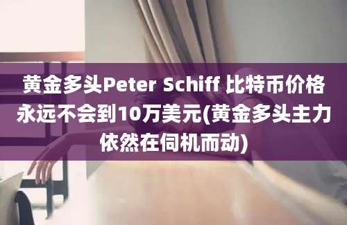 黄金多头Peter Schiff 比特币价格永远不会到10万美元(黄金多头主力依然在伺机而动)