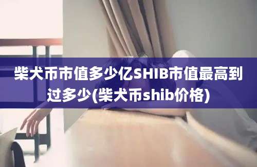 柴犬币市值多少亿SHIB市值最高到过多少(柴犬币shib价格)