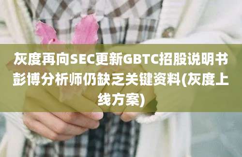 灰度再向SEC更新GBTC招股说明书彭博分析师仍缺乏关键资料(灰度上线方案)