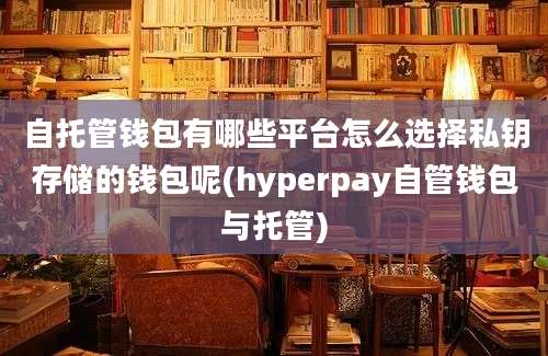 自托管钱包有哪些平台怎么选择私钥存储的钱包呢(hyperpay自管钱包与托管)