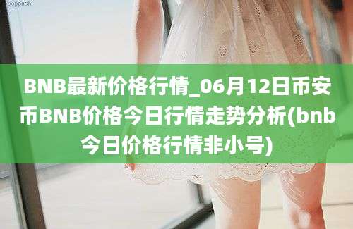 BNB最新价格行情_06月12日币安币BNB价格今日行情走势分析(bnb今日价格行情非小号)