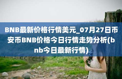 BNB最新价格行情美元_07月27日币安币BNB价格今日行情走势分析(bnb今日最新行情)