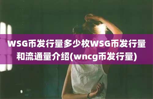 WSG币发行量多少枚WSG币发行量和流通量介绍(wncg币发行量)