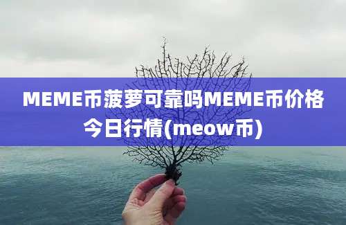 MEME币菠萝可靠吗MEME币价格今日行情(meow币)