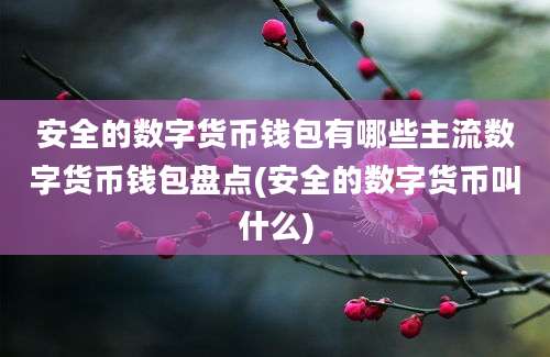 安全的数字货币钱包有哪些主流数字货币钱包盘点(安全的数字货币叫什么)