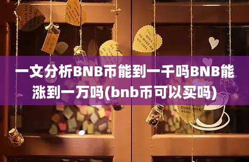 一文分析BNB币能到一千吗BNB能涨到一万吗(bnb币可以买吗)