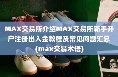 MAX交易所介绍MAX交易所新手开户注册出入金教程及常见问题汇总(max交易术语)