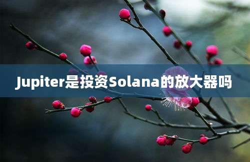 Jupiter是投资Solana的放大器吗