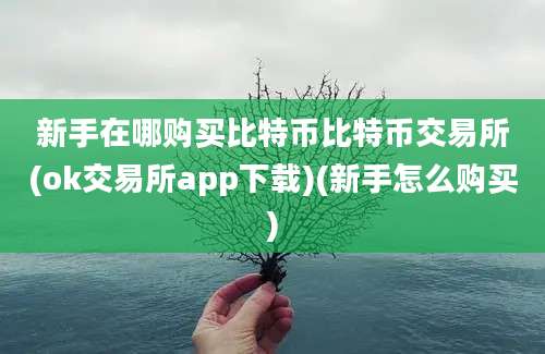 新手在哪购买比特币比特币交易所(ok交易所app下载)(新手怎么购买)