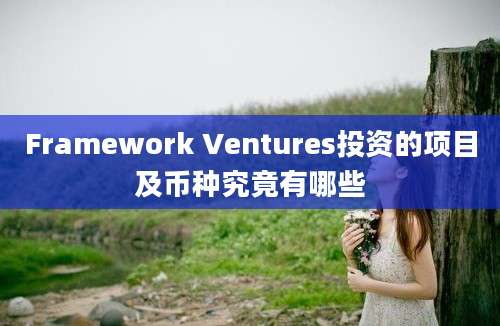 Framework Ventures投资的项目及币种究竟有哪些