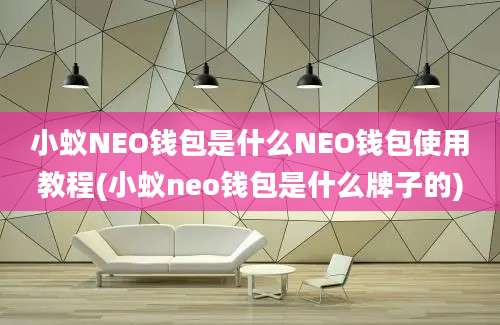 小蚁NEO钱包是什么NEO钱包使用教程(小蚁neo钱包是什么牌子的)