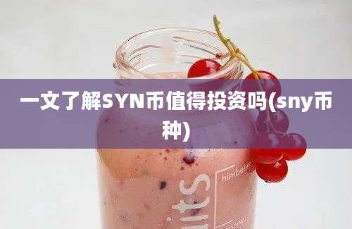 一文了解SYN币值得投资吗(sny币种)