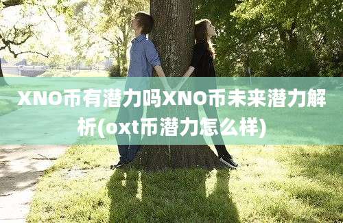 XNO币有潜力吗XNO币未来潜力解析(oxt币潜力怎么样)