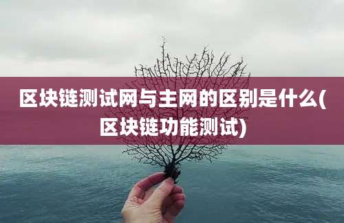 区块链测试网与主网的区别是什么(区块链功能测试)