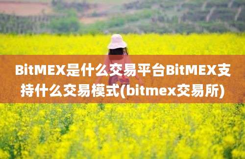 BitMEX是什么交易平台BitMEX支持什么交易模式(bitmex交易所)