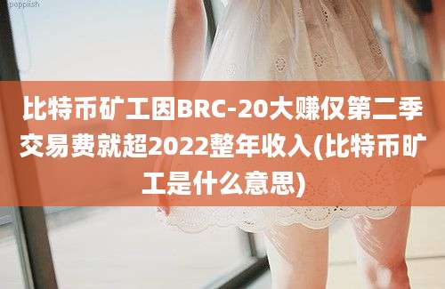 比特币矿工因BRC-20大赚仅第二季交易费就超2022整年收入(比特币旷工是什么意思)