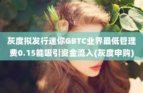 灰度拟发行迷你GBTC业界最低管理费0.15能吸引资金流入(灰度申购)