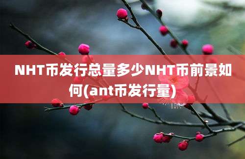 NHT币发行总量多少NHT币前景如何(ant币发行量)