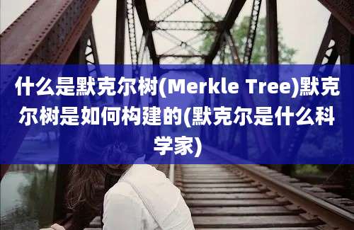 什么是默克尔树(Merkle Tree)默克尔树是如何构建的(默克尔是什么科学家)