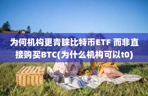 为何机构更青睐比特币ETF 而非直接购买BTC(为什么机构可以t0)