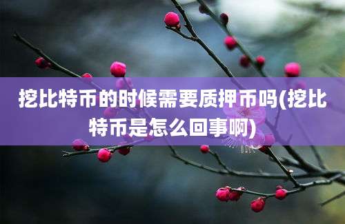 挖比特币的时候需要质押币吗(挖比特币是怎么回事啊)