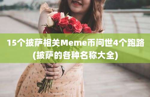 15个披萨相关Meme币问世4个跑路(披萨的各种名称大全)