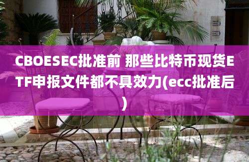 CBOESEC批准前 那些比特币现货ETF申报文件都不具效力(ecc批准后)