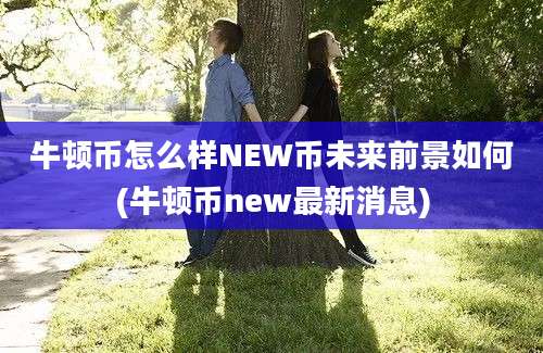 牛顿币怎么样NEW币未来前景如何(牛顿币new最新消息)